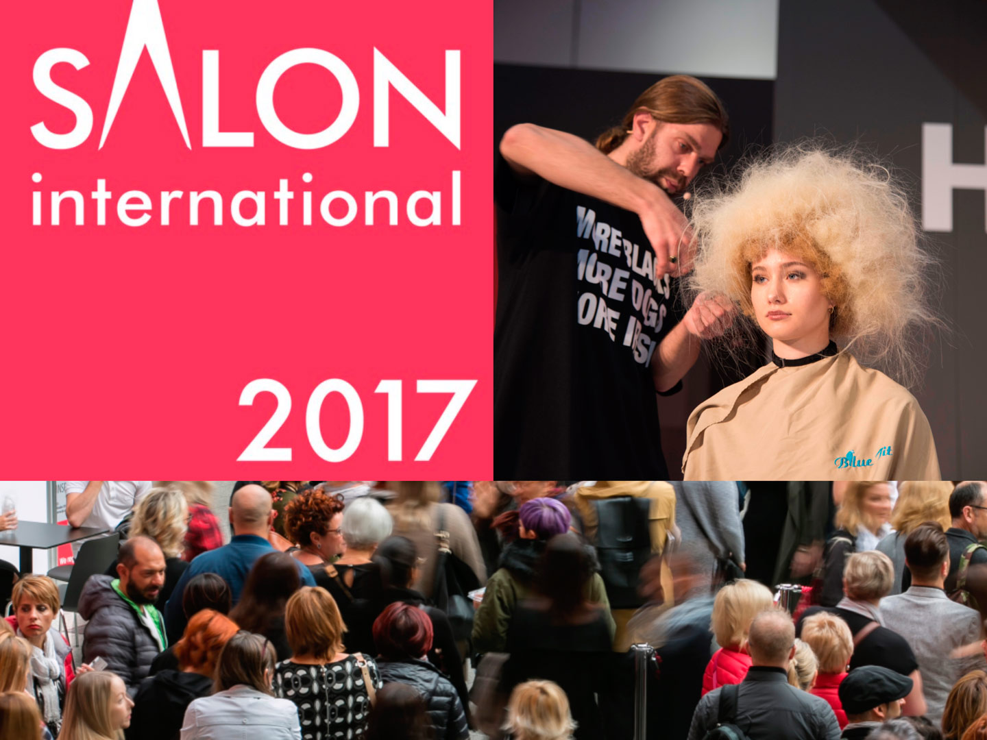 Das-werden-die-Highlights-beim-Salon-International-2017-1874-1