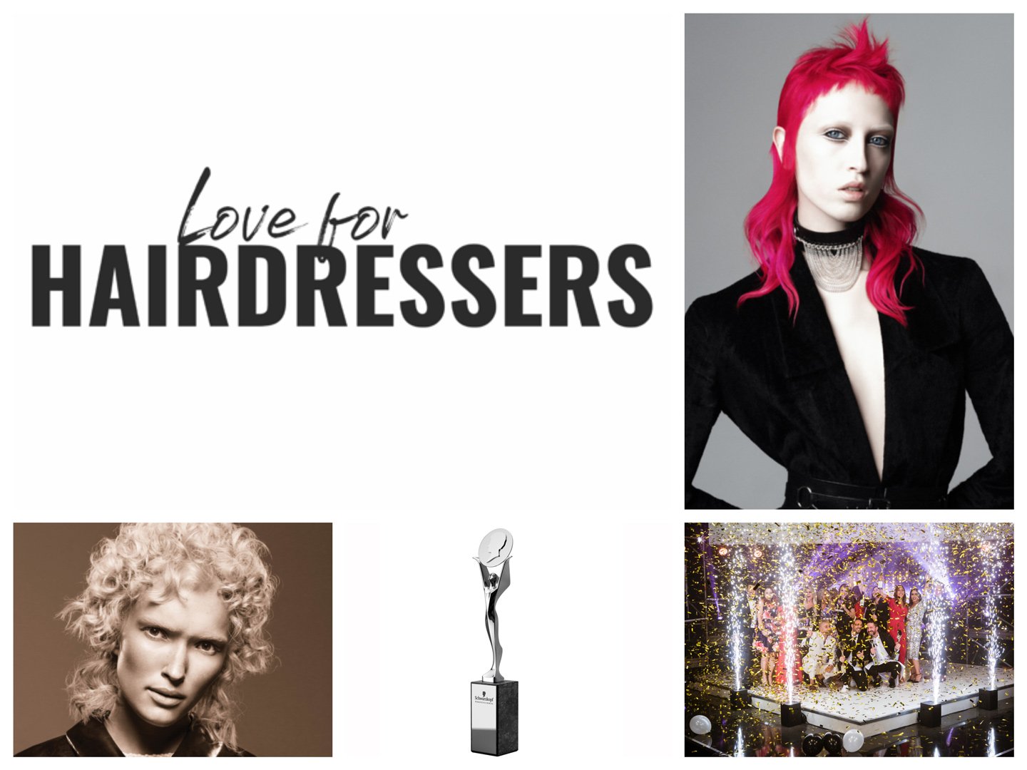 Faszination-Friseurberuf-Love-for-Hairdressers-meets-Hairdressing-Awards-5121-1