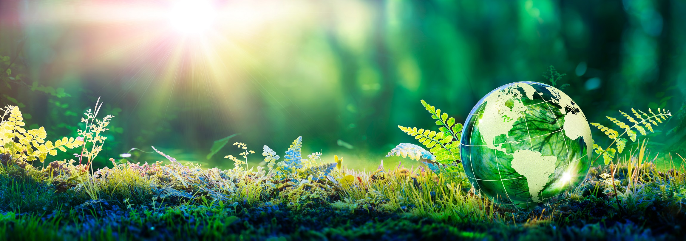 Environment,Concept,-,Globe,Glass,In,Green,Forest,With,Sunlight